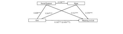 Grit and Meaning in Life of Chinese Nurses: The Chain Mediating Effect of Social Support and Hope